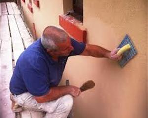 araya website plastering.jpg